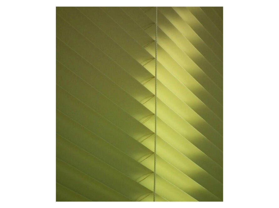 Green Shutters